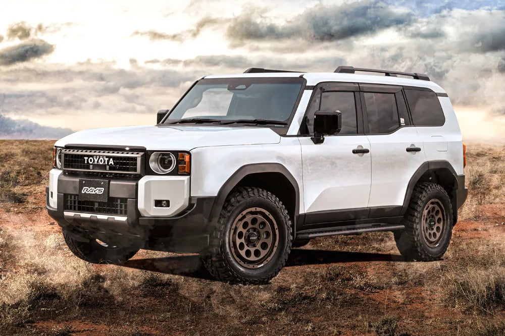 RAYS Offroad D9 - Wheels