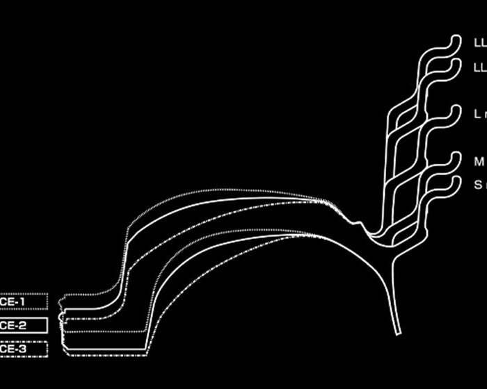 Volk Racing 21C - Wheels