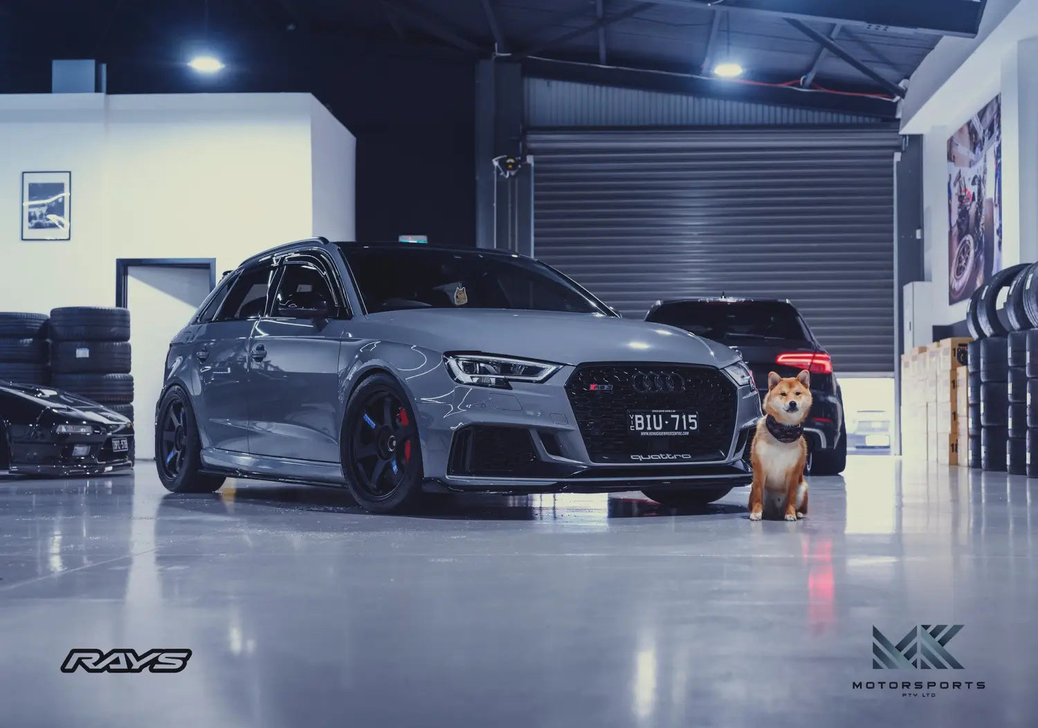 AUDI RS3 - TE37SL