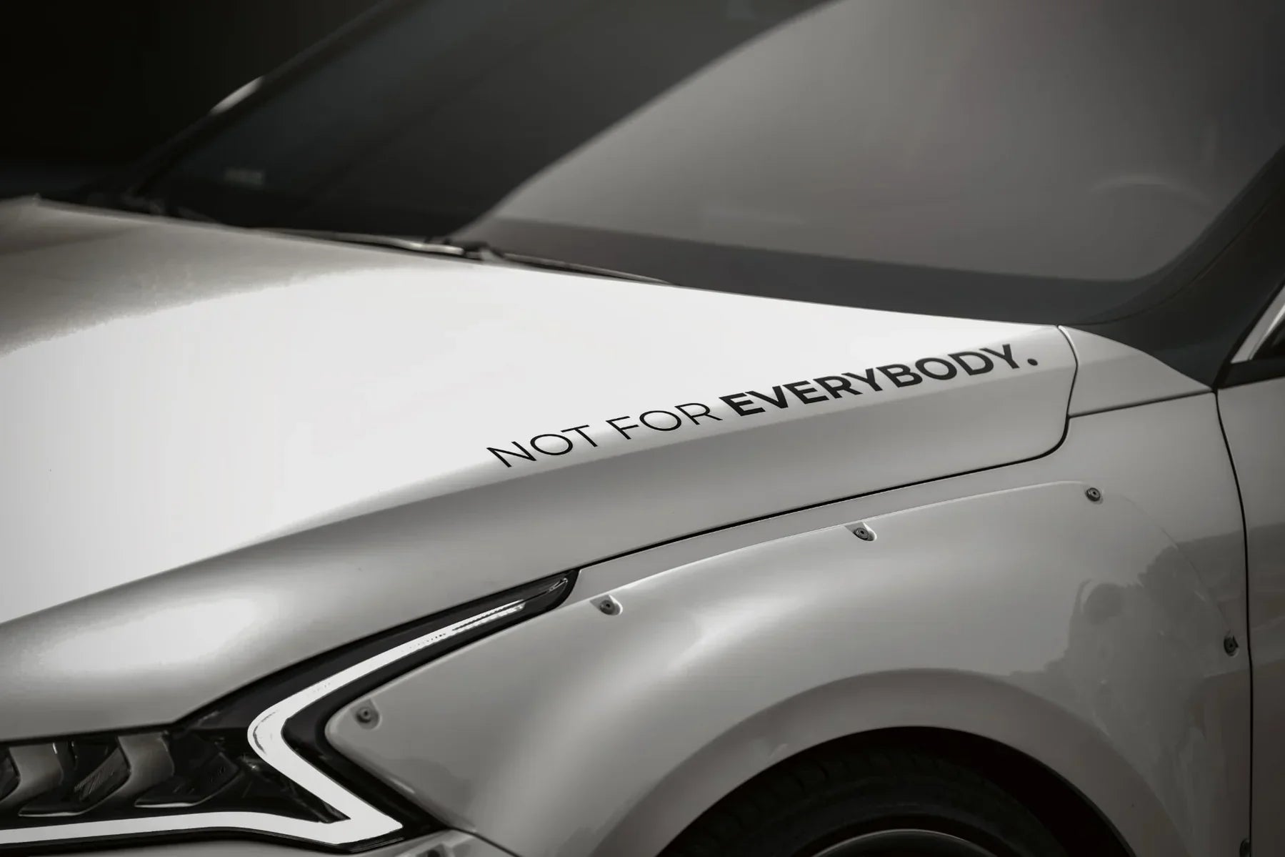 ’Not for Everybody’ Decal - Merchandise