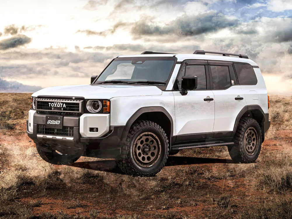 RAYS Offroad D9 - Wheels