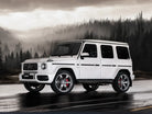 Volk Racing TE37GC - Wheels