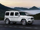 Volk Racing TE37GC - Wheels